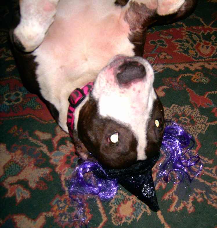 Abracadrabra, my ass...get this off me!