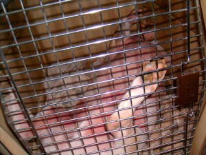 Zzzzzzzzzzzzzzzzzzzzz