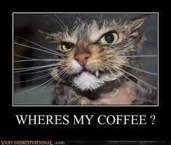 coffeecat