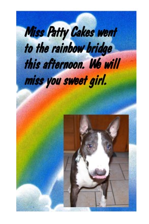 Patty to rainbow bridge