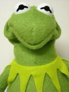 Kermit face