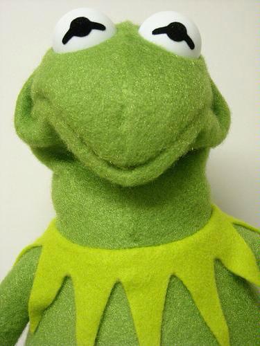 Kermit face