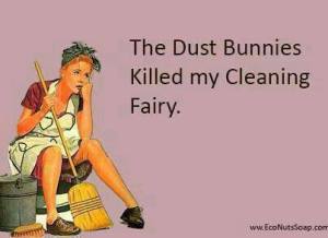 dust bunnies killed the cleaning fairy