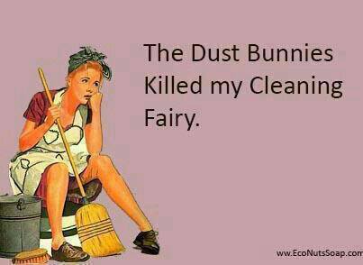 dust bunnies killed the cleaning fairy