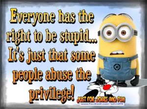 the right to be stupid