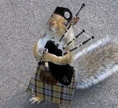 Squirrel with bagpipes