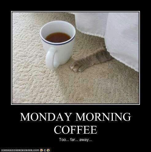 monday-morning-coffee