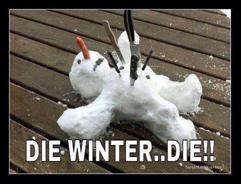 die-winter