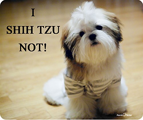 I shih tzu not