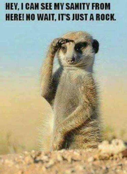 I can see my sanity from here