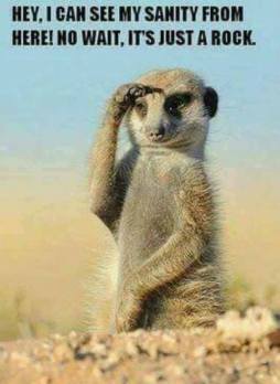 I can see my sanity from here