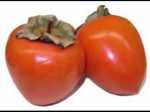 persimmon