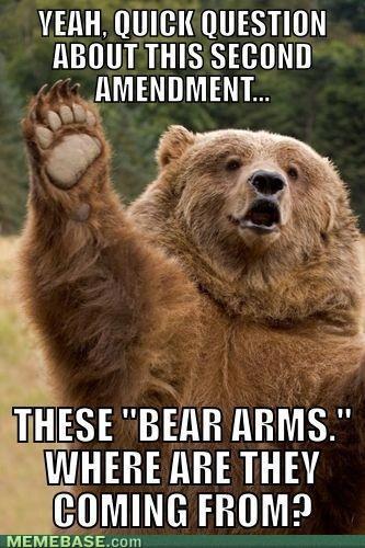 bear arms
