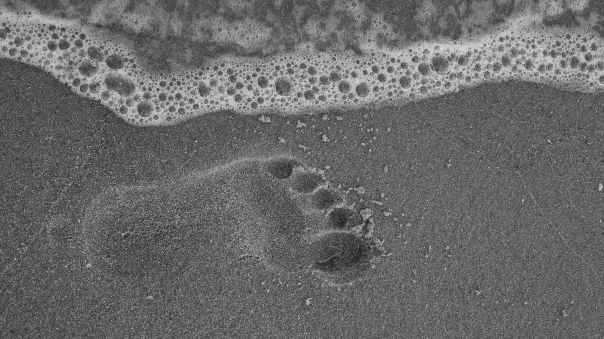 sand-footprint-water-beach-50565.jpeg