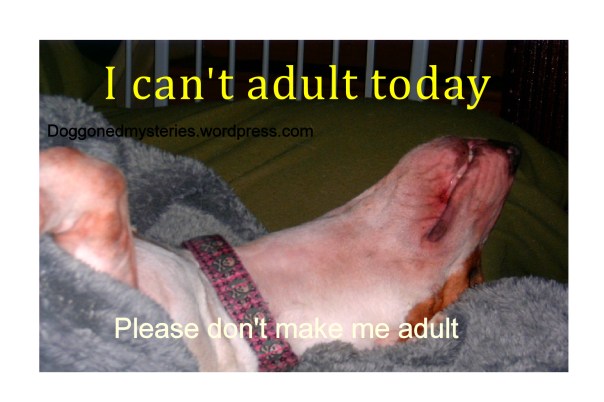 Dont make me adult Lucy