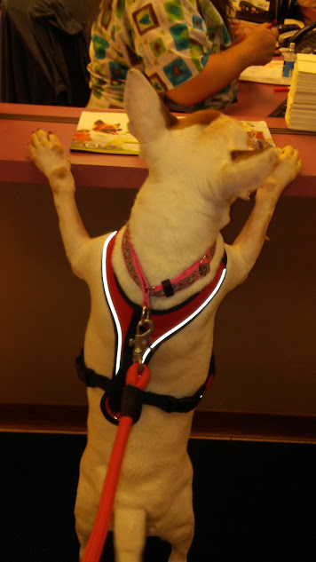 Hi eberyone I iz heah!