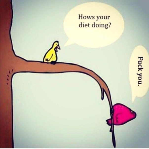 diet